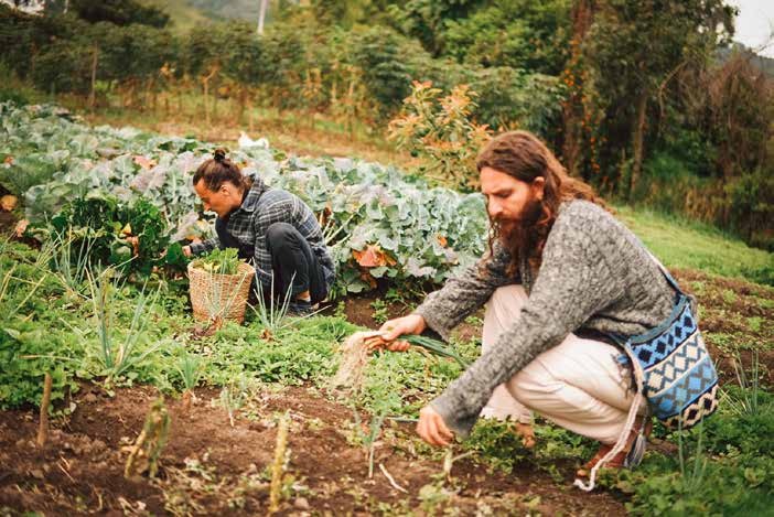 Huerta orgánica para la alimentación consciente